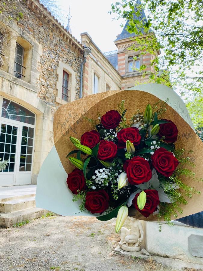 Chateau De La Prade 나르본 외부 사진